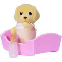 Golden Labrador Baby