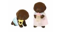 Chocolate Labrador Twins