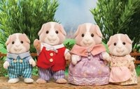 Guinea Pig Family