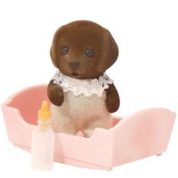 Chocolate Labrador Baby