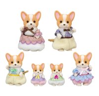 Corgi Family