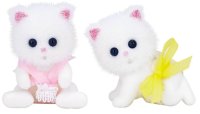 Persian Cat Twins