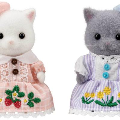 Strawberry & Dandelion Embroidery Pair Set