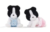 Border Collie Twins