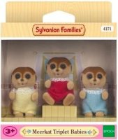 Meerkat Triplets