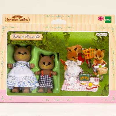 Bikes & Picnic Set