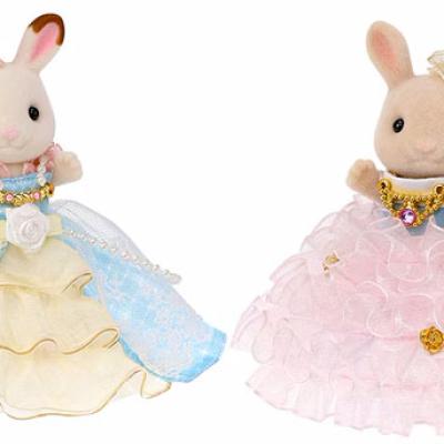 Luxury Dress Pair Set