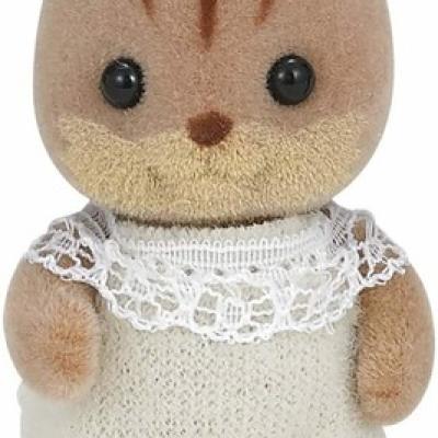 Walnut Squirrel Baby
