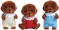 Chocolate Labrador Triplets