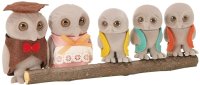 Owl Family
